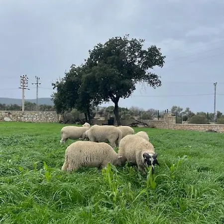 Goekler Ciftliginde Cati Kati *