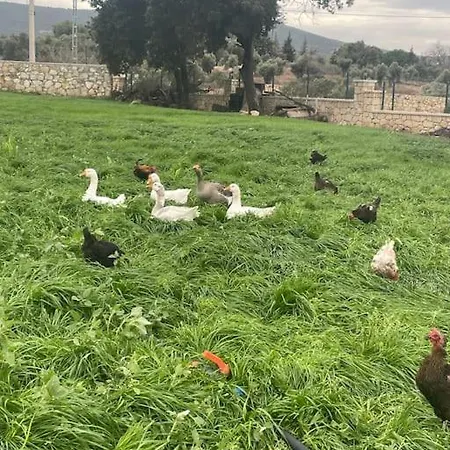 شقة Goekler Ciftliginde Cati Kati فوكا