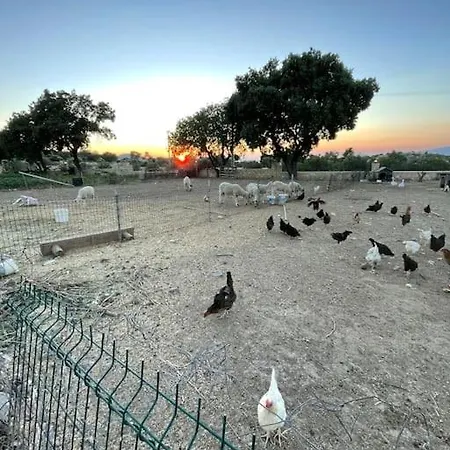 شقة Goekler Ciftliginde Cati Kati